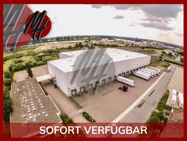 Halle/Industriefläche zur Miete 10.400 m² Lagerfläche Gernsheim Gernsheim 64579