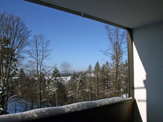 Wohnung zum Kauf 26.000 € 1 Zimmer 32 m² frei ab sofort St. Andreasberg Harz 37444