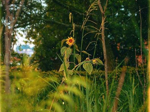 Freizeitgrundstück zum Kauf 580.000 € 2.000 m² Grundstück Diedorf 86420