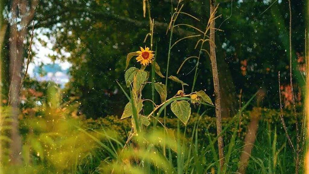 Freizeitgrundstück zum Kauf 580.000 € 2.000 m² Grundstück Diedorf 86420