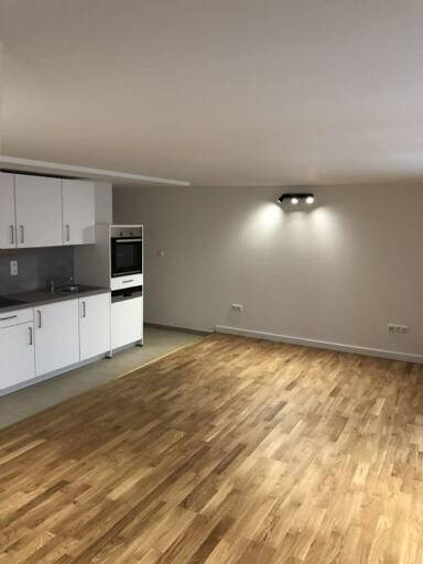 Studio zur Miete 685 € 1 Zimmer 43 m² 1. Geschoss frei ab sofort Am Wiedfang 1 Innenstadt Regensburg 93047