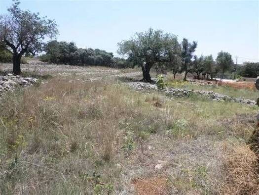 Grundstück zum Kauf 210.000 € Arrabal Zval-30 Pedrera Benissa 03720