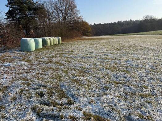 Grundstück zum Kauf 89.550 € 5.970 m² Grundstück frei ab sofort Unterobsang Neudrossenfeld 95512