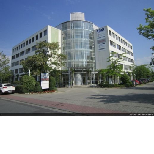 Bürofläche zur Miete provisionsfrei 8,90 € 1.698 m²<br/>Bürofläche ab 379 m²<br/>Teilbarkeit Dreieichenhain Dreieich 63303