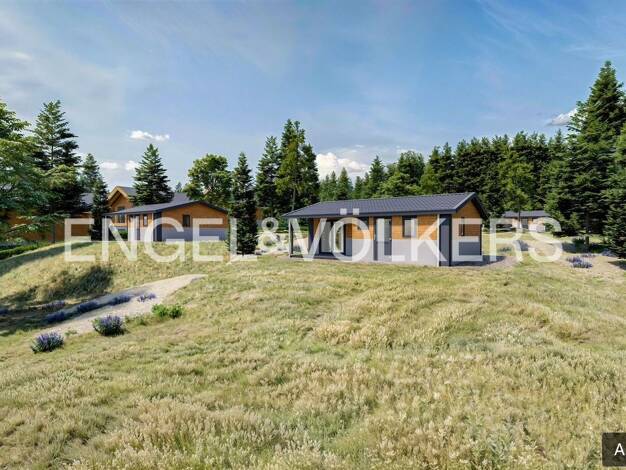 Bungalow zum Kauf 349.000 € 60 m² 500 m² Grundstück Hahnenklee Goslar 38644