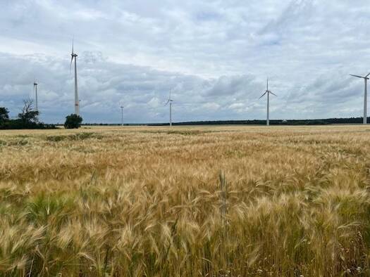Landwirtschaftliche Fläche zum Kauf als Kapitalanlage geeignet 406.992 m² Grundstück Jüterbog Jüterbog 14913