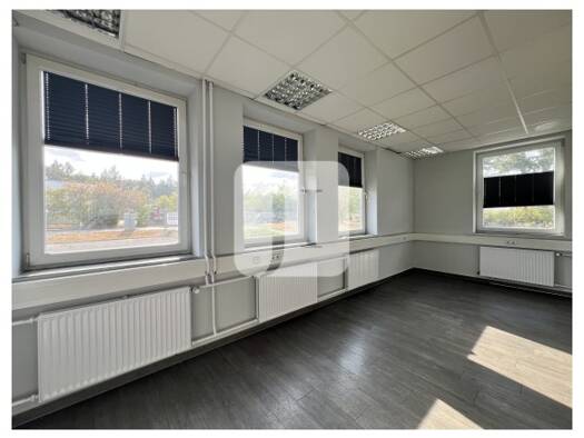 Bürofläche zur Miete 175 m² Bürofläche Uelzen Uelzen 29525