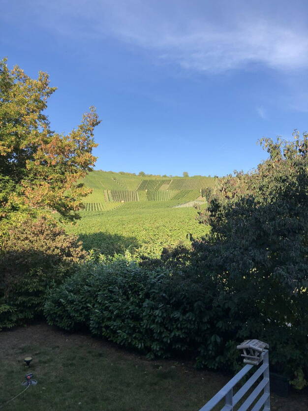 Maisonette zur Miete 1.840 € 4 Zimmer 136 m² 2. Geschoss frei ab 01.10.2025 Großheppach Weinstadt 71384
