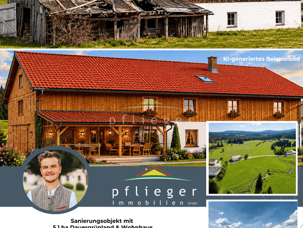 Einfamilienhaus zum Kauf 270.000 € 10 Zimmer 51.308 m² Grundstück Haidmühle 94145