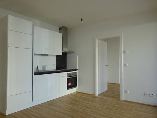 Wohnung zur Miete 594 € 2 Zimmer 42 m² 1. Geschoss Schönaugasse Jakomini Graz 8010