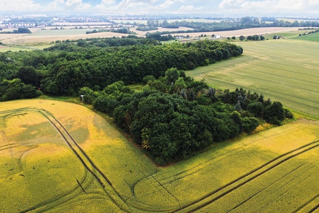 Land-/Forstwirtschaft zum Kauf 750 € 6.724 m²<br/>Grundstück K1575 Oschersleben Oschersleben 39387