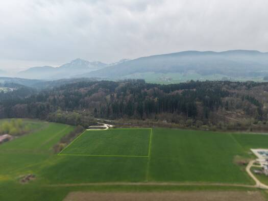 Land-/Forstwirtschaft zum Kauf 13.792 m² Grundstück Punschern Teisendorf 83317