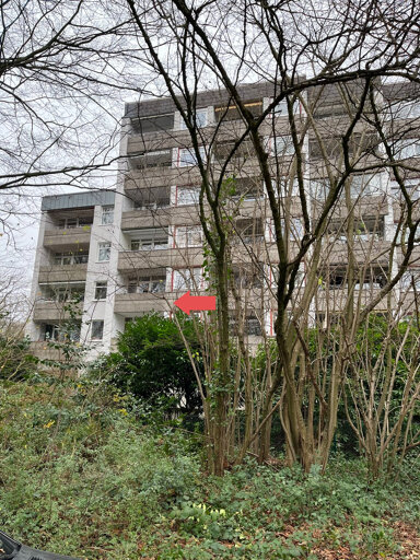 Wohnung zum Kauf 135.000 € 2 Zimmer 42 m² Berg Fidel Münster 48153