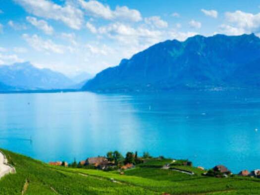 Hotel zum Kauf 31.000.000 € 39 Zimmer 78 Betten 14.265 m² Grundstück Crans-près-Céligny 1299