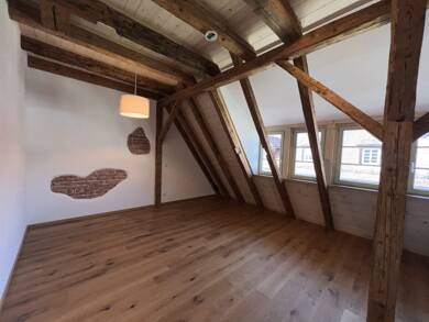 Wohnung zur Miete 430 € 1 Zimmer 28,8 m² 3. Geschoss frei ab sofort Hauptstraße 95 Mengen Mengen 88512