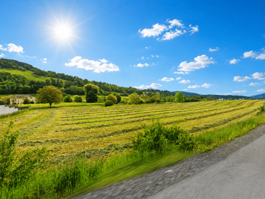 Grundstück zum Kauf Feldkirchen in Kärnten 9560