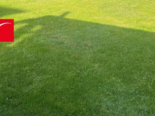 Grundstück zum Kauf 150.000 € 539 m² Grundstück Immigrath Langenfeld 40764