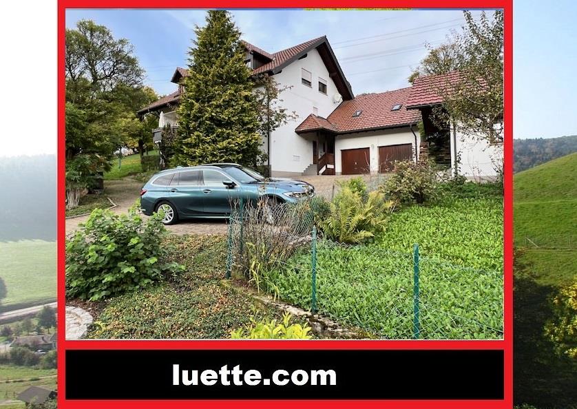 Mehrfamilienhaus zum Kauf 750.000 € 11 Zimmer 300 m²<br/>Wohnfläche 1.000 m²<br/>Grundstück Schmitzingen Waldshut-Schmitzingen 79761