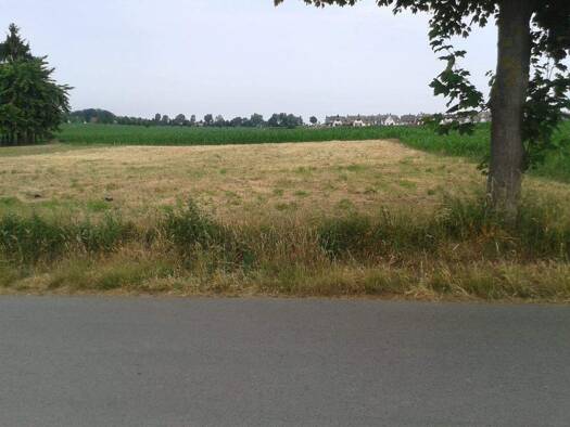 Grundstück zum Kauf 424.960 € 1.024 m² Grundstück Zierow 23968