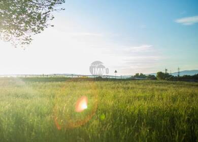 Land-/Forstwirtschaft zum Kauf 4.000.000 € 200.000 m² Grundstück Monbrunn Miltenberg 63897