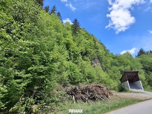Land-/Forstwirtschaft zum Kauf 29.000 € 12.253 m² Grundstück Kirchberg an der Pielach 3204