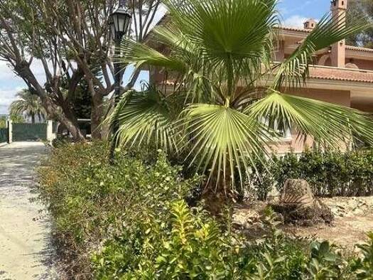 Chalet zum Kauf 559.000 € 7 Zimmer 513 m² N-340 Callosa de Segura 03360
