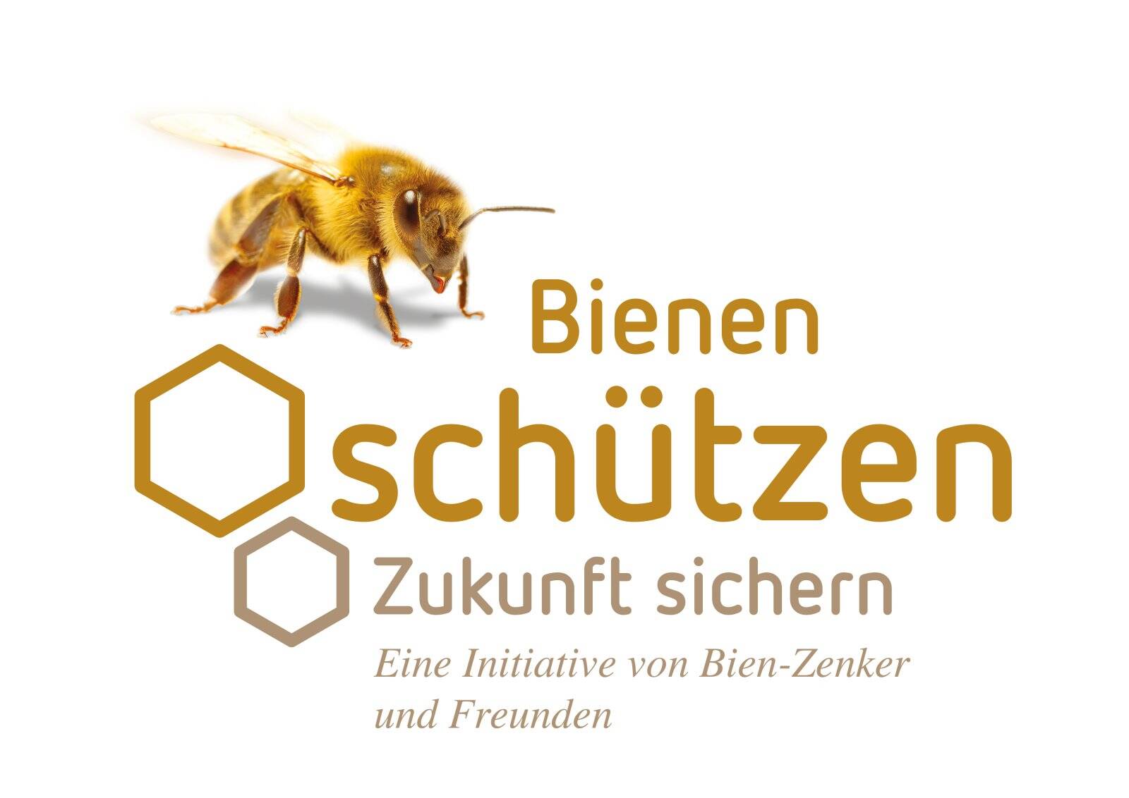 Haus – Bad Zwischenahn, Landkreis Ammerland - Ansicht 3