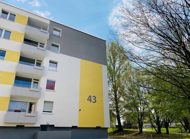Wohnung zur Miete 390 € 1,5 Zimmer 43,5 m² 3. Geschoss frei ab 12.07.2025 Steinfurtweg 43 Siedlung Siepmannstraße Dortmund 44379