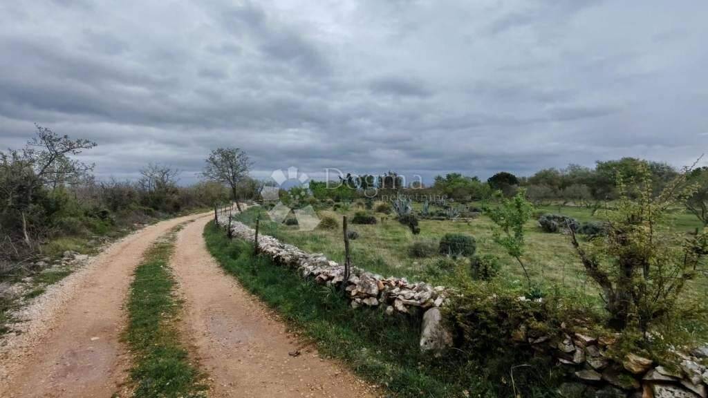 Land-/Forstwirtschaft zum Kauf 52.000 € Policnik