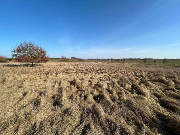 Grundstück zum Kauf 99.000 € 8.600 m² Grundstück Repnitz 17179