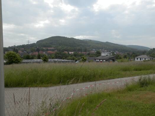 Grundstück zum Kauf 83.000 € 763 m² Grundstück Salzhemmendorf 31020