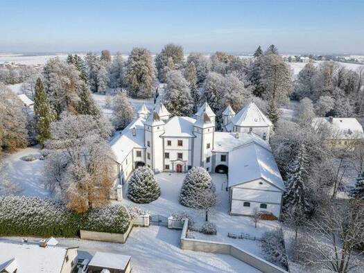Schloss zum Kauf 4.490.000 € 17 Zimmer 900 m² 27.362 m² Grundstück Desselbrunn 4693