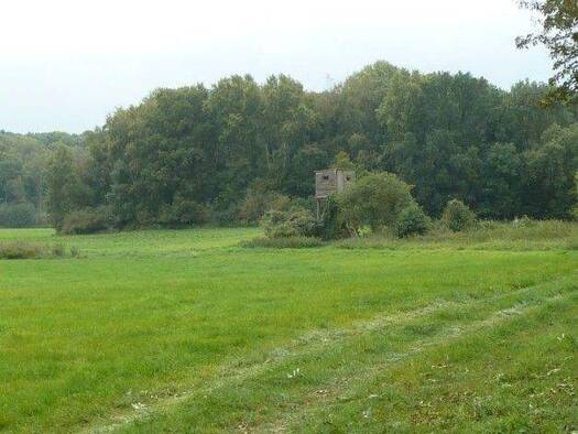 Grundstück zum Kauf 1.200.000 € 920.000 m² Grundstück Lindhorst Uckerland 17337