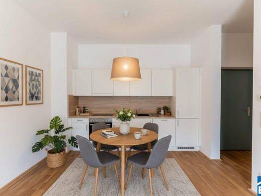 Wohnung zur Miete 785 € 3 Zimmer 67 m² 1. Geschoss frei ab sofort Waagner-Biro-Straße Lend Graz 8020