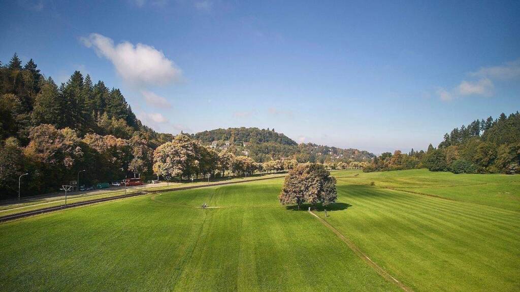 Mehrfamilienhaus zum Kauf 1.820.000 € 14 Zimmer 405 m² 528 m² Grundstück frei ab sofort Schauinslandstraße 18 Günterstal Freiburg im Breisgau 79100