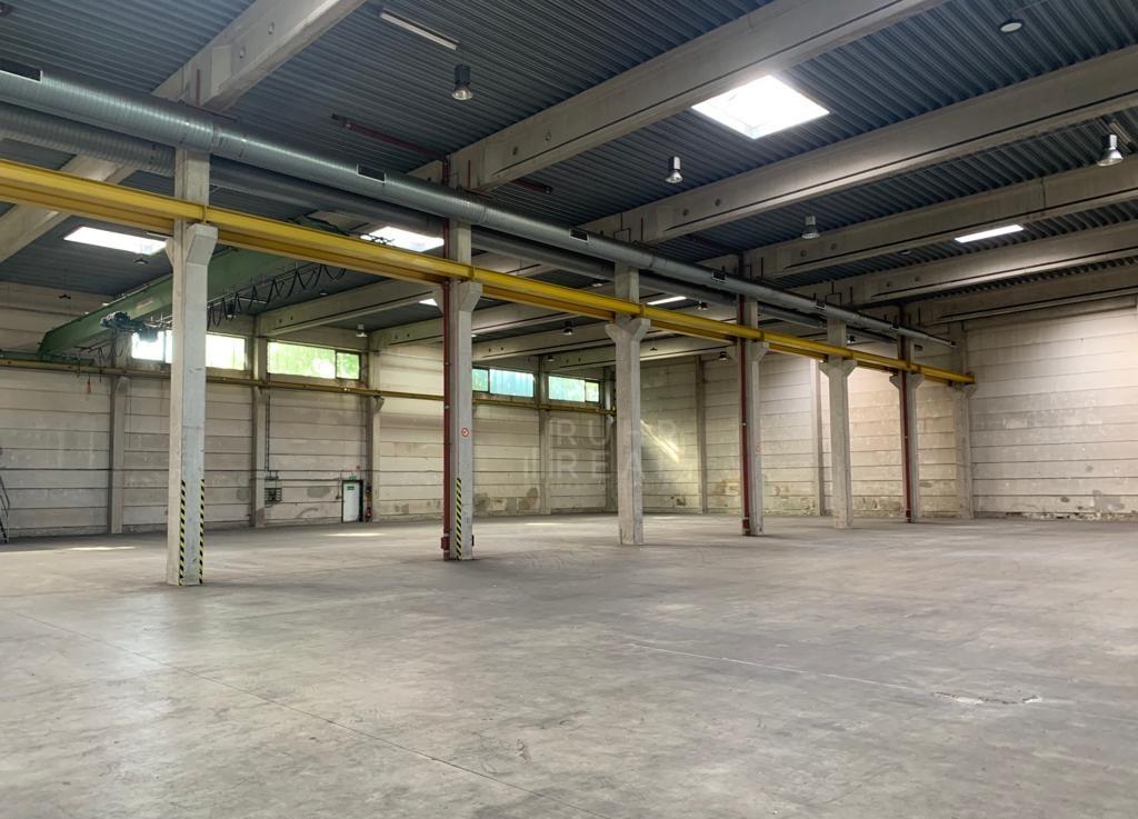 Lagerhalle zur Miete 1.500 m²<br/>Lagerfläche Schützenhof Münster 48153