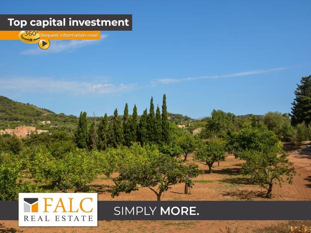 Landhaus zum Kauf provisionsfrei 1.260.000 € 6 Zimmer 150 m² 17.336 m² Grundstück Son Servera 07550