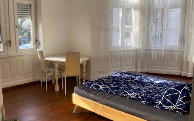 WG-Zimmer zur Miete Wohnen auf Zeit 590 € 24 m² frei ab 28.09.2025 Neckarstraße 0 Innenstadt - Ost Esslingen Zentrum 73728