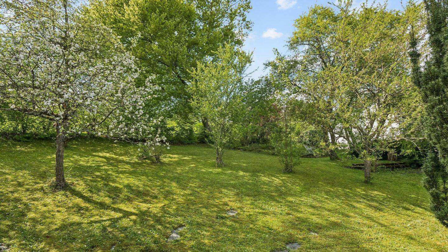Einfamilienhaus zum Kauf - Ansicht 6