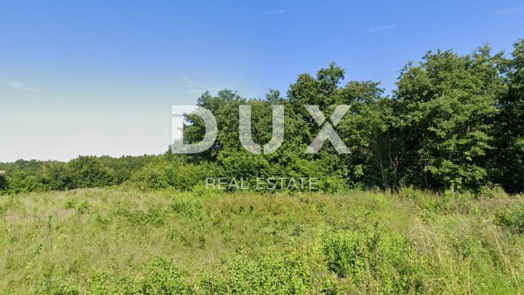 Land-/Forstwirtschaft zum Kauf 12.000 € Barban