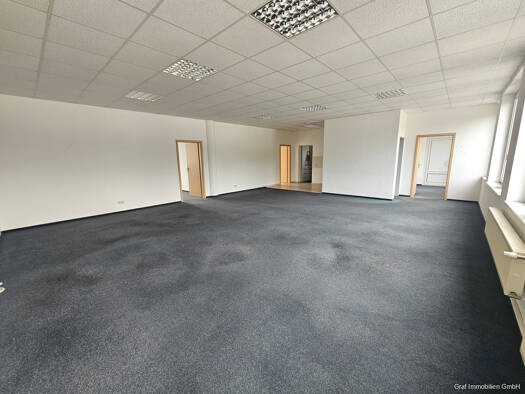 Bürogebäude zur Miete 175,2 m² Bürofläche Friedrichstraße 55 Büro 1 Schönebeck Schönebeck (Elbe) 39218