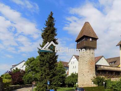 Wohnung zur Miete 885 € 3 Zimmer 90 m² Tiengen Waldshut-Tiengen 79761