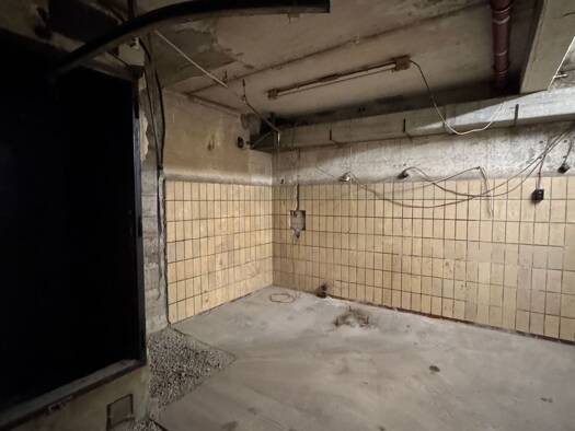 Lagerhalle zur Miete provisionsfrei 500 € 120 m² Lagerfläche Ekkehardstraße 34 Singen Singen (Hohentwiel) 78224
