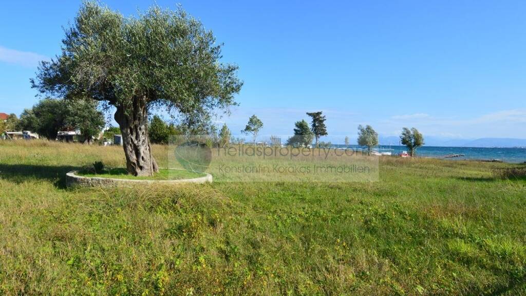 Grundstück zum Kauf 500.000 € 8.000 m² Grundstück Korfu 49100