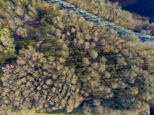 Forstwirtschaft zum Kauf 4.784 m² Grundstück Scheeßel Scheeßel / Jeersdorf 27383