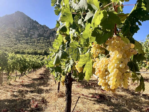 Bauernhaus zum Kauf 2.900.000 € 7 Zimmer 145 m² 280.000 m² Grundstück Loiri 07020