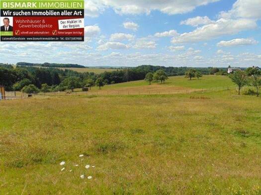 Grundstück zum Kauf 55.000 € 1.106 m² Grundstück Krinkhof Hontheim 54538