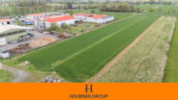 Gewerbegrundstück zum Kauf 199.000 € 10.200 m² Grundstück Mislag Ihlienworth 21775