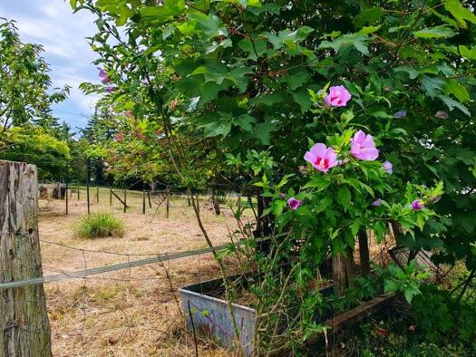 Grundstück zum Kauf 249.000 € 1.200 m² Grundstück Rümmingen 79595