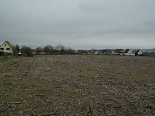 Grundstück zum Kauf 544 m² Grundstück Sonnenblumenring Bad Staffelstein 96231